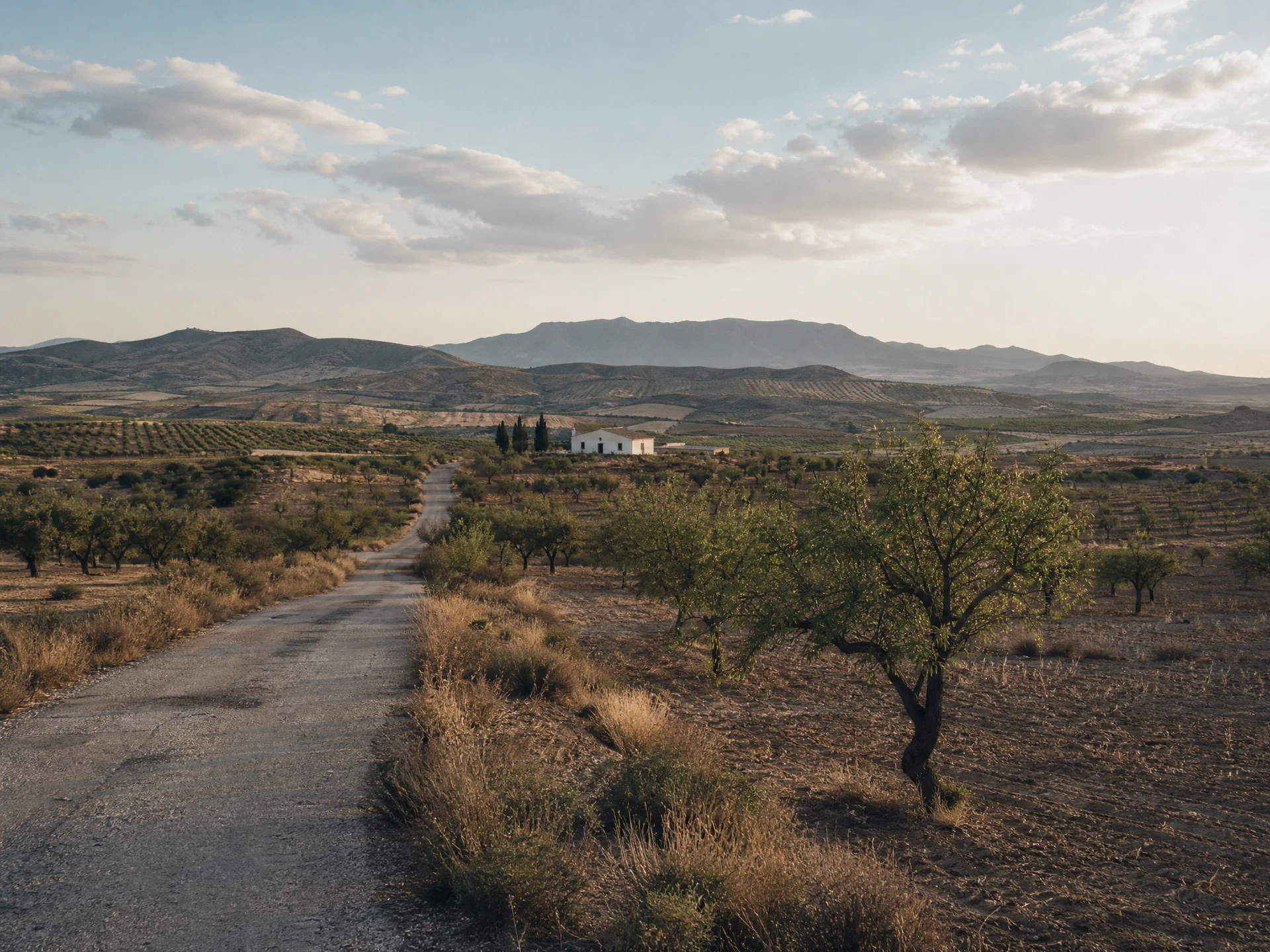 Paisaje rural de Murcia